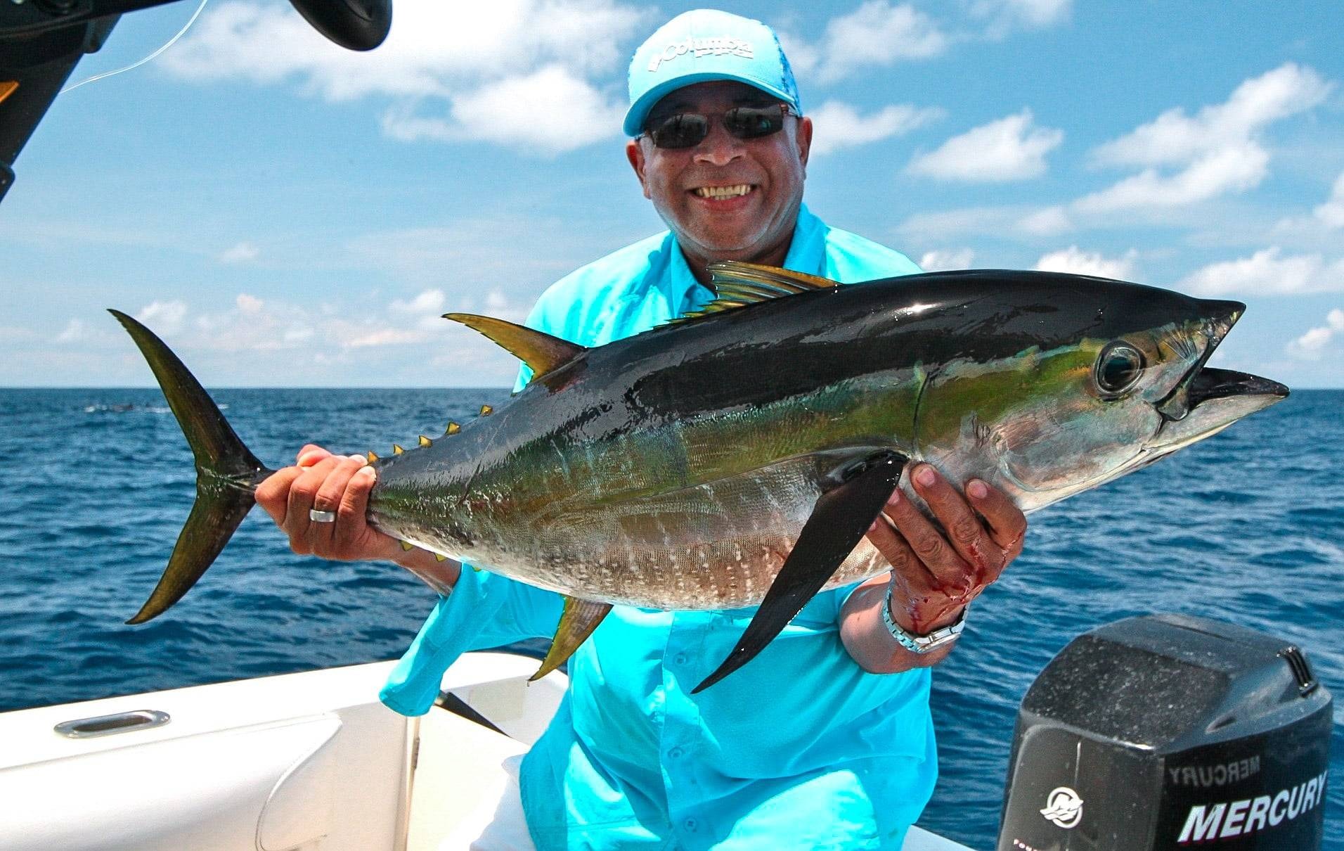 Fresh catch on a boat